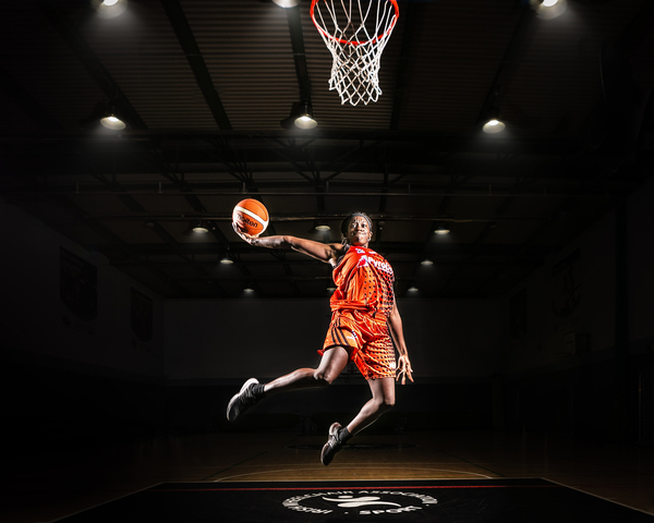 是湖人队的 是湖人队的