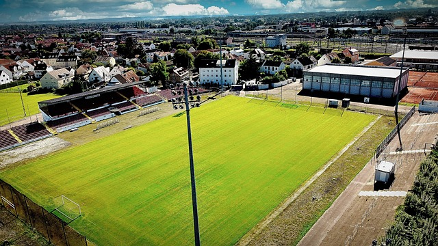 仅保障了供 仅保障了供